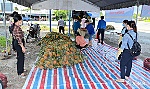 Huyện Tân Phước: Hỗ trợ, kết nối tiêu thụ nông sản cho nông dân