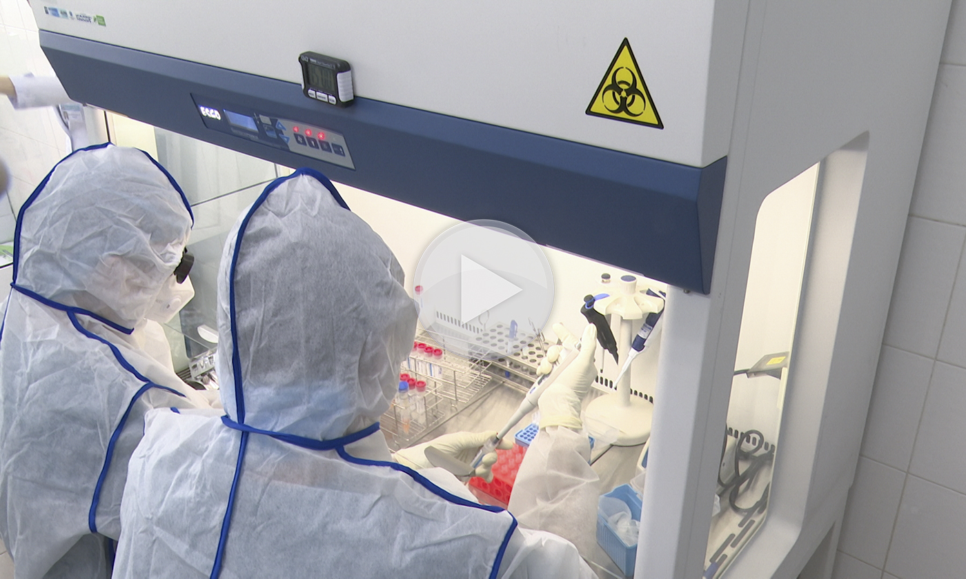 Chuyện về những người ngày đêm 'đi tìm' virus SARS-CoV-2