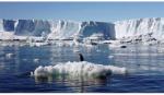 Bán đảo Nam Cực ghi nhận mức nhiệt cao kỷ lục - 18,3 độ C