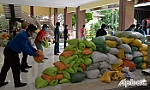 Tỉnh Quảng Trị trao tặng Tiền Giang 35 tấn hàng hóa
