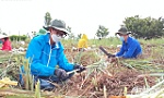 Tuổi trẻ Tân Phú Đông giúp dân trong mùa dịch