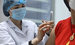 Bắt đầu tiêm thử nghiệm vaccine Nano Covax cho 12.000 tình nguyện viên