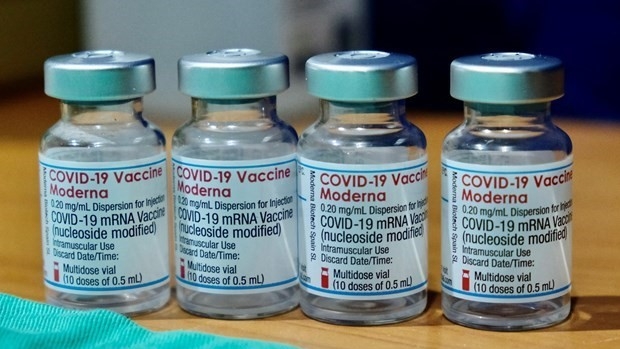  Vietnam calls for sharing of information on COVID-19 vaccines. (Image for illustration/Source: AFP/VNA).