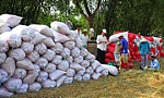 Gỡ khó trong thu mua lúa gạo tạm trữ