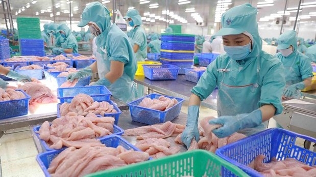 Workers process tra fish for export at a factory in Vam Cong Industrial Park in Lap Vo district, Dong Thap province (Photo: VNA).