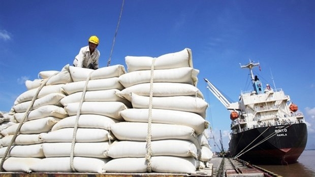 Rice is a potential item for Vietnam to export to the Italian market. (Photo baochinhphu.vn).
