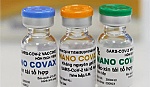 Cần tiếp tục đánh giá hiệu lực bảo vệ của vaccine Nanocovax