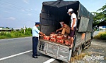 Phát hiện xe tải chở 60 thùng hàng không hóa đơn chứng từ