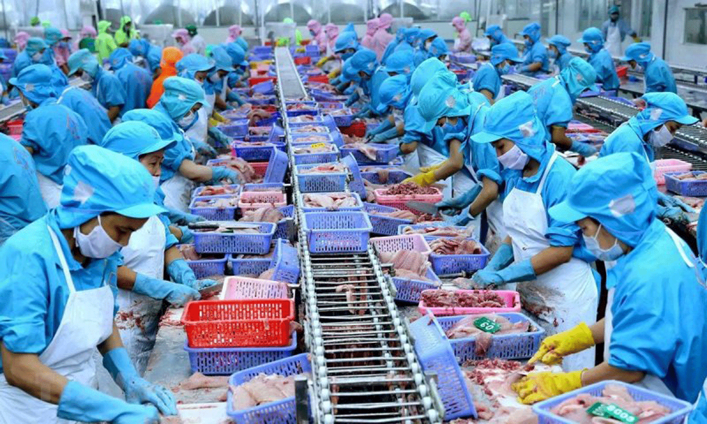 Ngành thủy sản nỗ lực vượt khó về đích