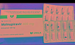 Hiệu quả điều trị Covid-19 bằng thuốc Molnupiravir tại TPHCM và 22 tỉnh thành