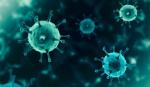Hé lộ nguyên nhân xuất hiện biến thể Omicron của virus SARS-CoV-2