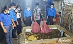 Cán bộ Đoàn khởi nghiệp với nuôi lươn không bùn