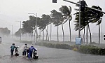 Các địa phương chủ động ứng phó bão khả năng vào Biển Đông