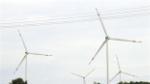 Vietnamese, German firms join hands in developing wind power projects