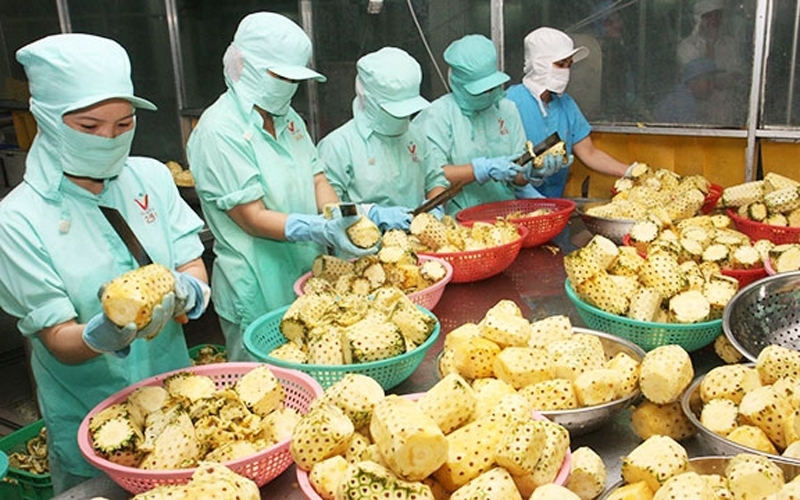 (Source: NDO)  As many as 1,045 product codes licensed for Vietnamese enterprises to export their agricultural and food products to China (Illustrative image).