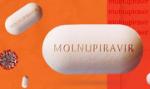 Đã phân bổ khoảng 450.000 liều thuốc Molnupiravir để điều trị F0 có kiểm soát