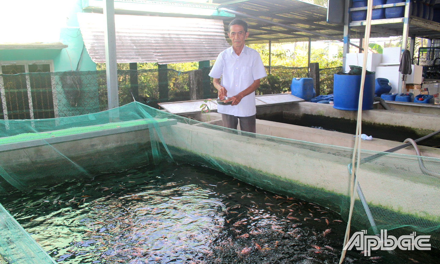 Ông Phan Văn Mật đã chủ động dự trữ nguồn thức ăn và vật tư cần thiết để duy trì sản xuất cá giống trong dịch bệnh. Ảnh: SỬU MINH