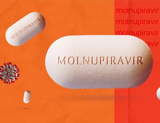 Đến nay có khoảng 450.000 liều thuốc Molnupiravir được Bộ Y tế phân bổ cho 53 địa phương trong Chương trình thí điểm điều trị có kiểm soát cho các trường hợp mắc COVID-19 thể nhẹ.