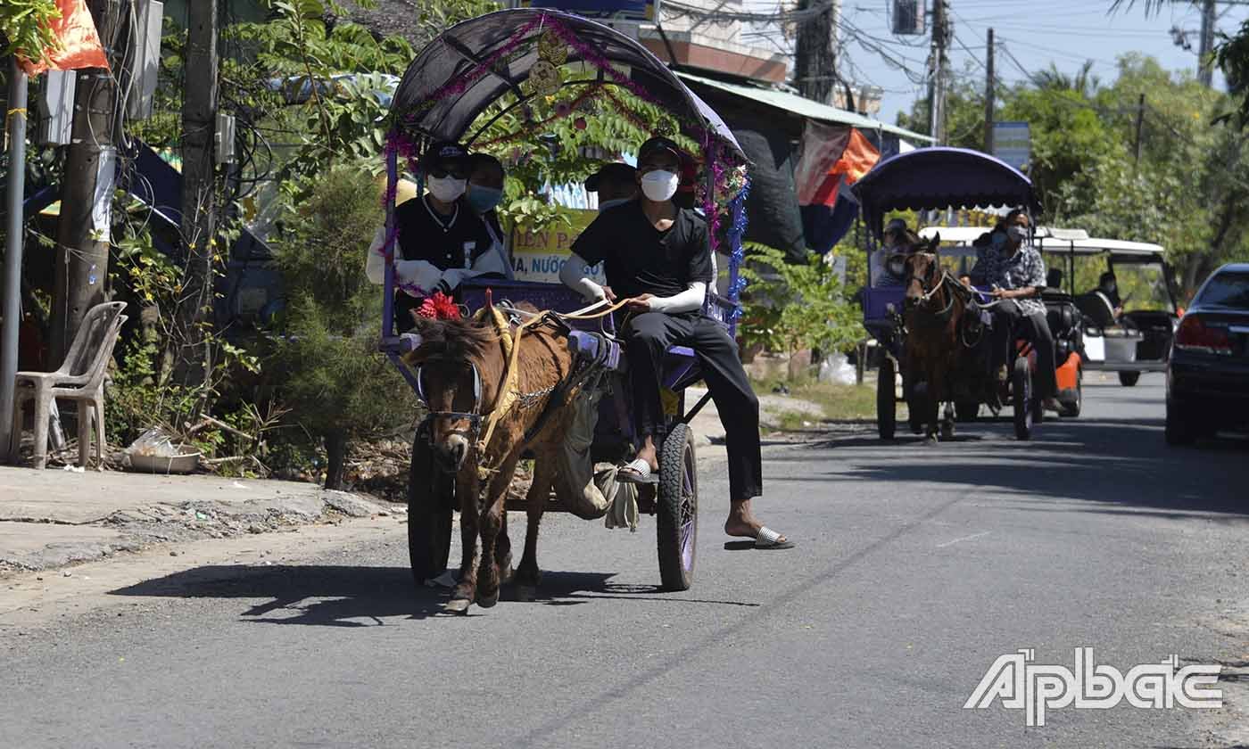 Du khách trải nghiệm đi xe ngựa ở Cù lao Thới Sơn.