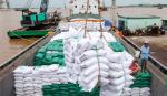 Gập ghềnh hành trình xuất khẩu gạo