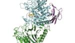 Enzyme vi khuẩn mới có thể tạo ra polymer sinh học sử dụng trong y tế