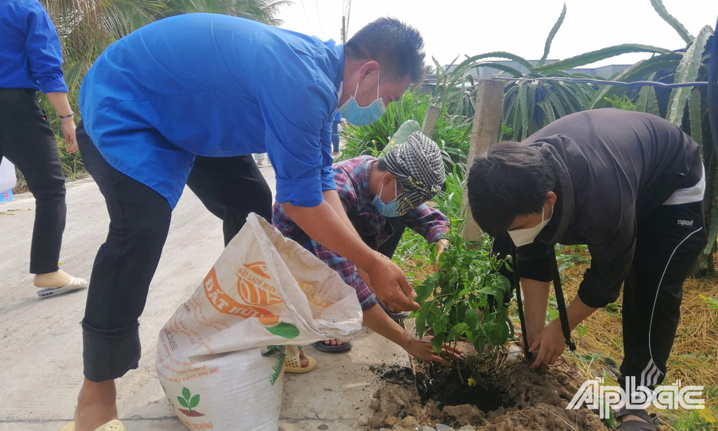 Huyện đoàn Gò Công Đông, hưởng ứng Ngày Chủ nhật xanh, với hoạt động trồng 300 cây hoàng yến, tại xã Tân Thành….