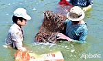 Huyện Tân Phú Đông: Hướng đến nuôi trồng thủy sản bền vững