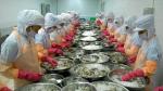 Vietnam's shrimp exports projected to continue growing