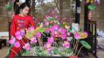Exhibition spotlights lotus in Vietnamese cultural life