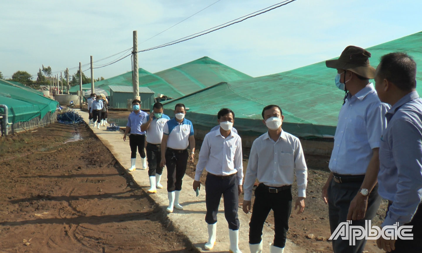 Lãnh đạo huyện Tân Phú Đông tham quan mô hình nuôi tôm công nghệ cao của ông Ngô Văn Tuấn tại ấp Cồn Cống (xã Phú Tân).