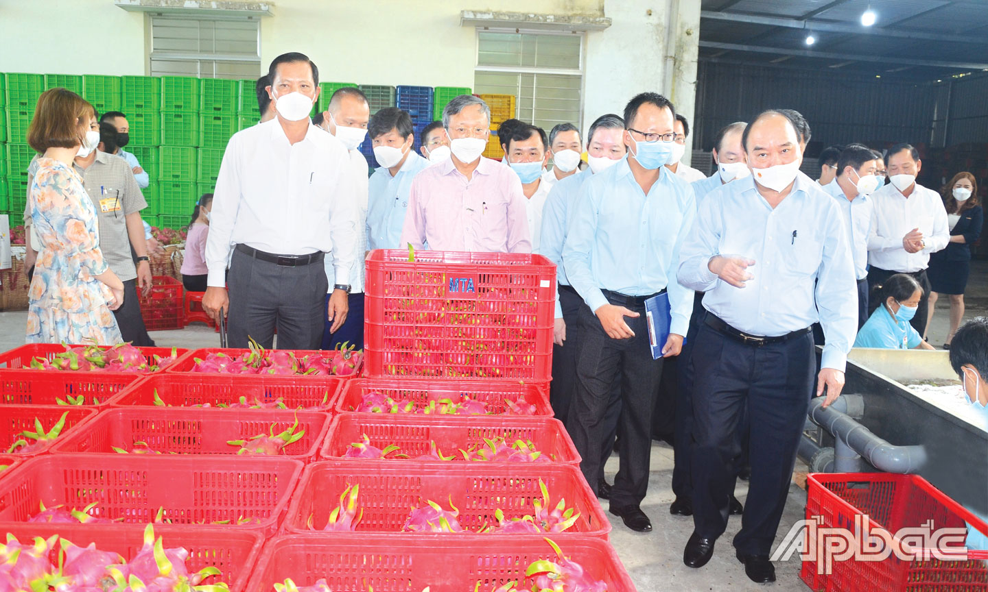 Chủ tịch nước Nguyễn Xuân Phúc tìm hiểu tình hình sản xuất, kinh doanh tại HTX Mỹ Tịnh An.