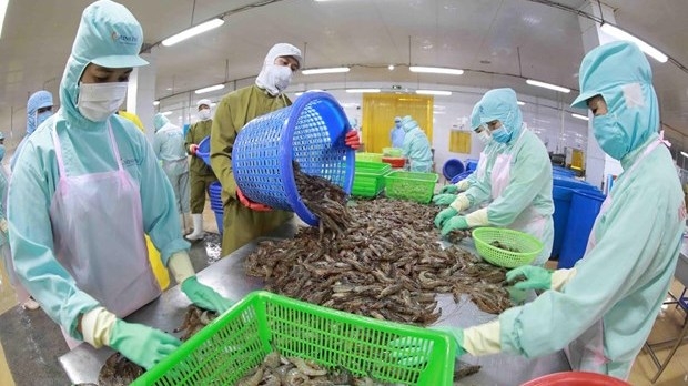 Vietnam's seafood exports enjoy strong surge despite challenges