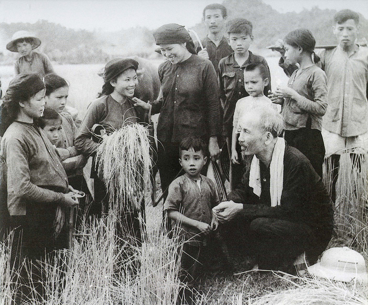 Chủ tịch Hồ Chí Minh thăm Hợp tác xã Hùng Sơn, huyện Đại Từ, tỉnh Thái Nguyên gặt mùa (1954).