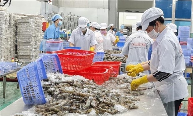Workers at a shrimp processing factory in Vietnam (Photo: VNA).