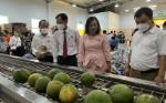 Ben Tre prepares for first shipment of green grapefruit to the US