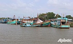 Huyện Gò Công Đông: Nhiều tàu cá nằm bờ do giá xăng, dầu tăng cao