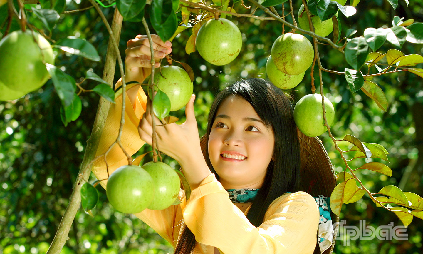Vú sữa Lò Rèn là loại trái cây đặc sản của tỉnh Tiền Giang
