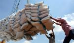 Giá gạo xuất khẩu không tăng như kỳ vọng