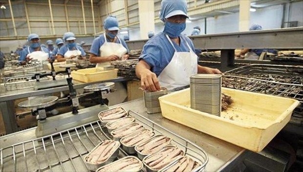 Vietnam’s tuna exports to France up 203% in seven months. (Photo: VNA).