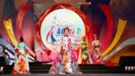 Vietnamese Children's Ao Dai Festival keeps nation's soul