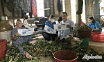 Huyện Tân Phước: Nhiều giải pháp phát triển người tham gia bảo hiểm y tế