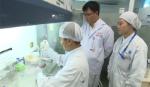 Phó Giáo sư Việt nghiên cứu thuốc trị viêm phổi từ tế bào gốc