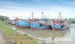 Tiền Giang: Ngư dân vượt khó bám biển