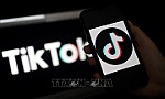 Cảnh giác trước những trào lưu độc hại trên mạng xã hội TikTok