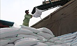 Xuất khẩu gạo Việt Nam có khả năng vượt kế hoạch