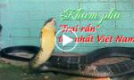 Khám phá Trại rắn lớn nhất Việt Nam
