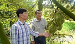 Hợp tác xã Nông nghiệp Phú Quý: Nỗ lực nâng cao thu nhập cho thành viên
