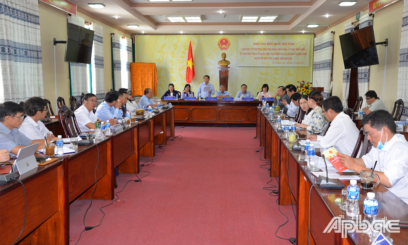 Phó trưởng đoàn ĐBQH  tỉnh Tạ Minh Tâm phát biểu tại buổi thảo luận tổ