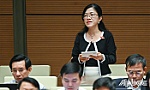 ĐBQH tỉnh Tiền Giang thảo luận Luật Hợp tác xã và Luật Bảo vệ quyền lợi người tiêu dùng (sửa đổi)