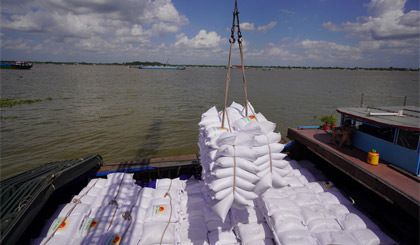 Dự báo xuất khẩu gạo năm 2022 vượt 6,5 triệu tấn, mức giá cao hơn Thái Lan, Ấn Độ